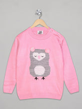 Load image into Gallery viewer, Boys winter woolen full sleeves round neck sweater in pink
